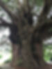3DB3BF3C-EF2C-438F-B2F0-866B3E2EC859.jpe