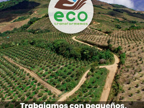 Una oportunidad para mejorar productividad y sostenibilidad