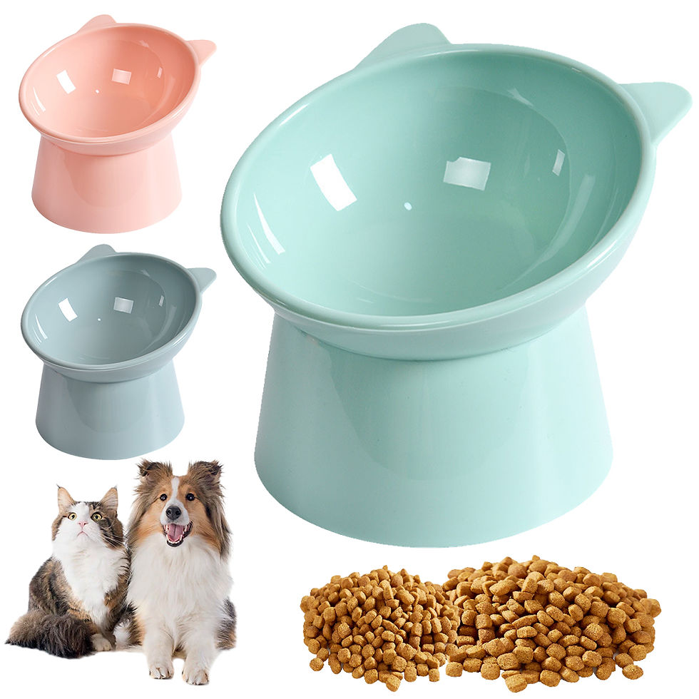 Thumbnail: Tilted Cat Food Bowl Elevated Cat Bowl Ergonomic Raised Cat Food Bowl Anti Vomit
