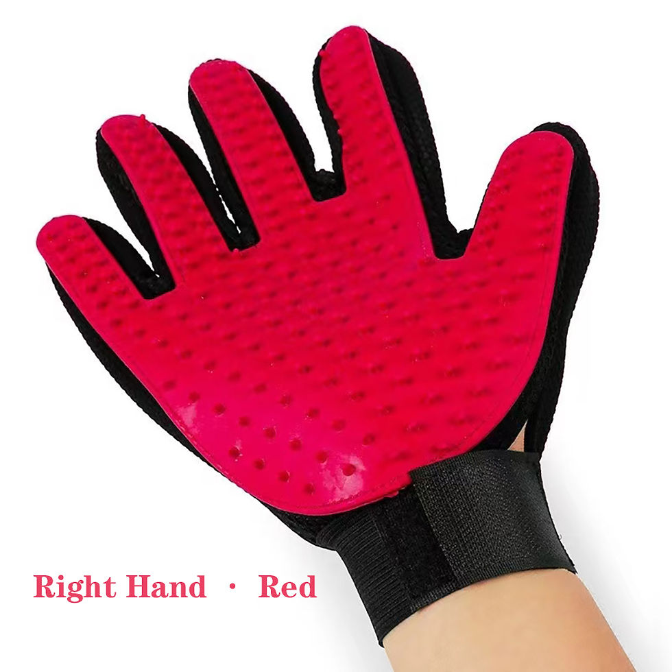 Thumbnail: 1Pcs Cat Hair Removal Gloves Pet Beauty Cleaning Brush Plastic Durable Convenien