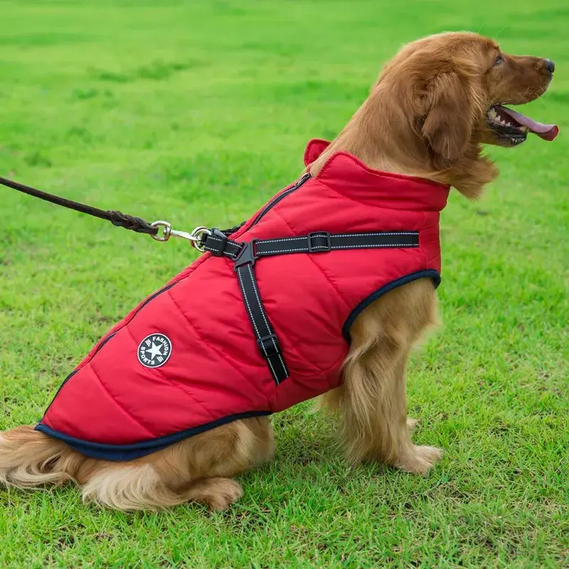 Thumbnail: Large Pet Dog Jacket With Harness Winter Warm Dog Clothes For Labrador Waterproo