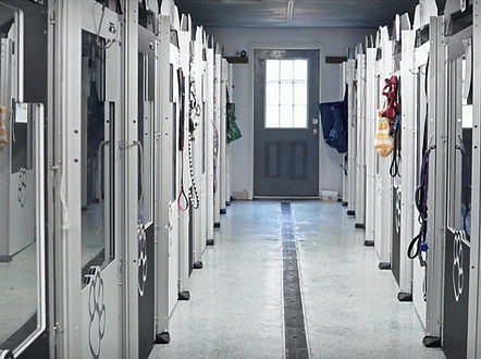 Screenshot 2023-12-10 at 11.32_edited.jp