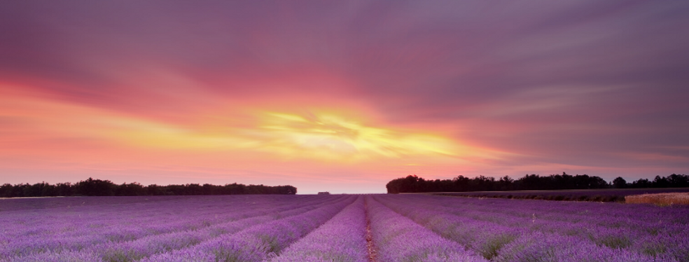 Untitled design (10).png