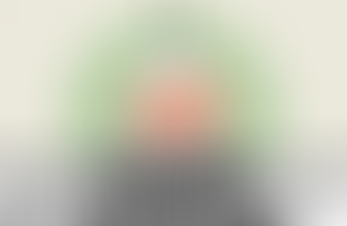 When Congress Hit Pause on America