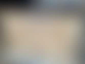 Celebrating Gratitude: Thanksgiving Traditions at AIS