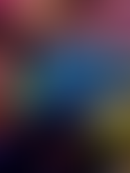 All About Tropical Mandarinfish: The Scaleless Stars