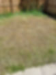 20210628_131350.jpg