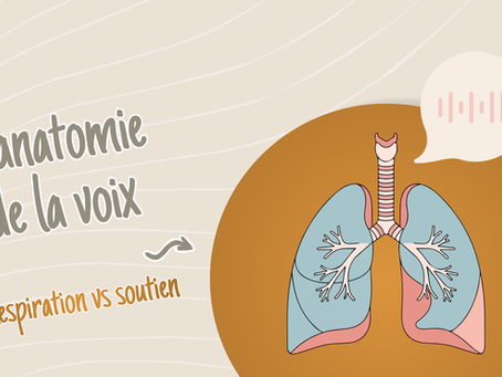 La respiration vs le soutien & l’anatomie de la voix