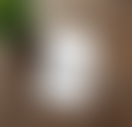 Small Business Accounting Guide | Startup Bookkeeping & Tax Help