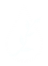 WellWorth Logo Transparent_edited.png