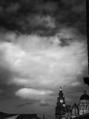 5F5F9873-C232-40F5-ABF6-3EA249358CDF.JPEG