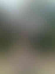 WhatsApp Image 2024-05-10 at 15.55.10_304eead5