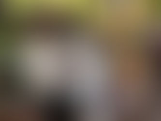 12/1  スタッフブログ