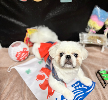 すだち.jpg