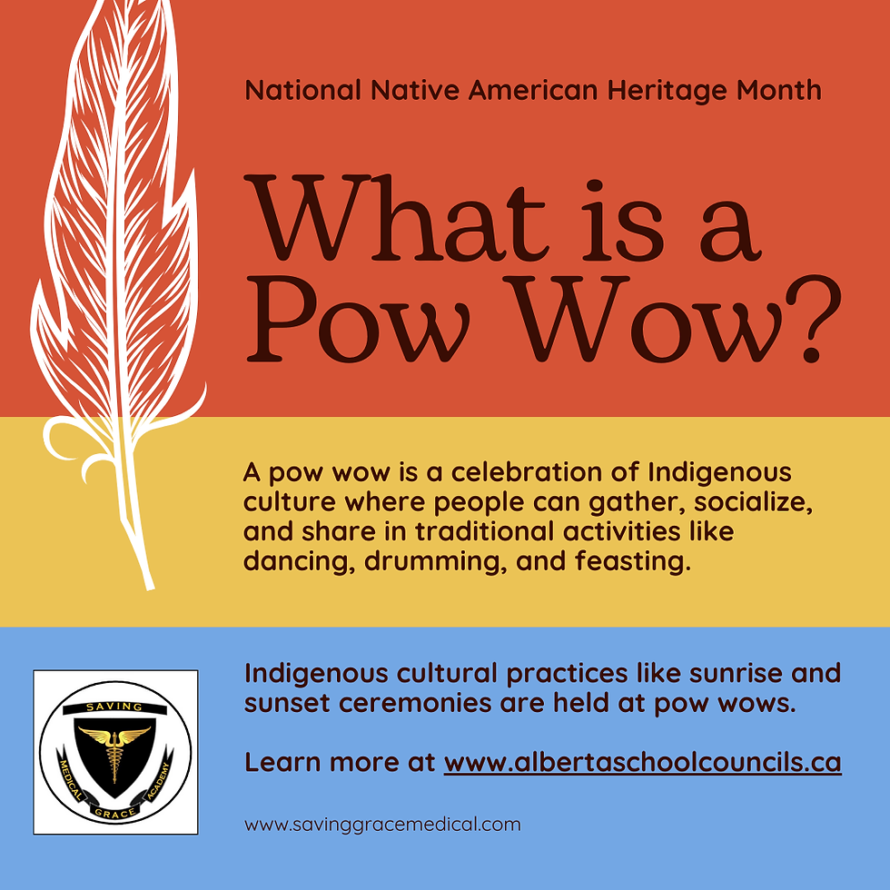 What is a Pow Wow national native American heritage month poster.