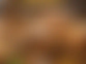 Whole grains, flour, and bread illustrating grain digestion and metabolism. Educational nutrition graphic for nursing students studying digestion, metabolism, and dietary health through Saving Grace Medical Academy courses in Edmonton.