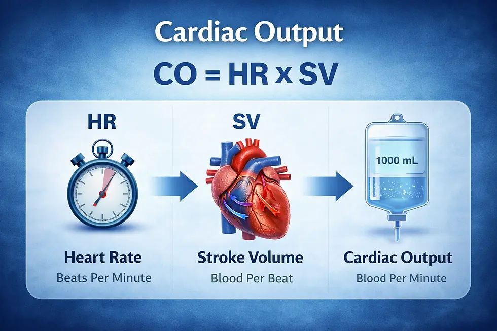 Understanding Cardiac Output Why The Heart Fails Before It Stops Understanding Cardiac Output Why The Heart Fails Before It Stops