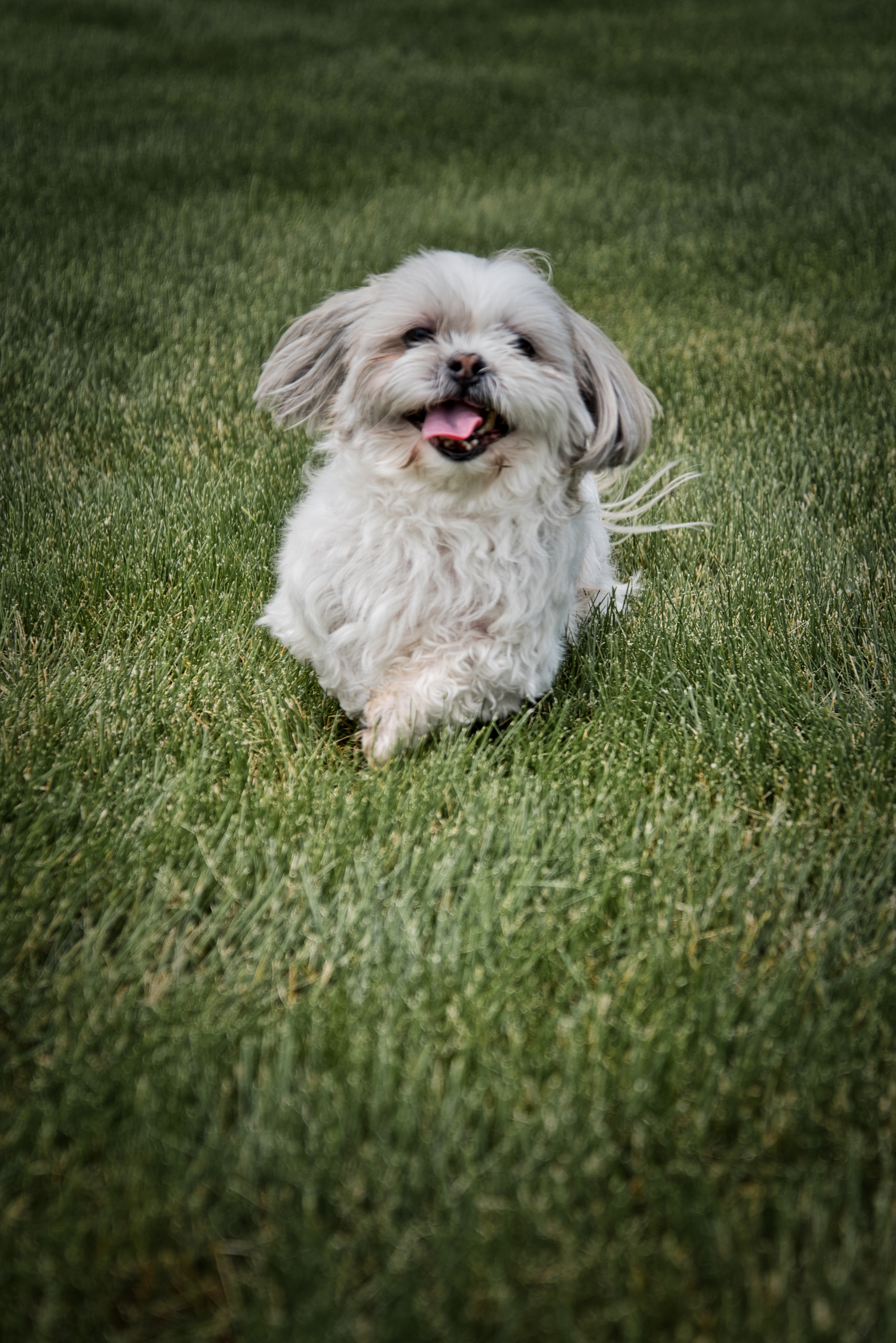 DSC_1368.jpeg