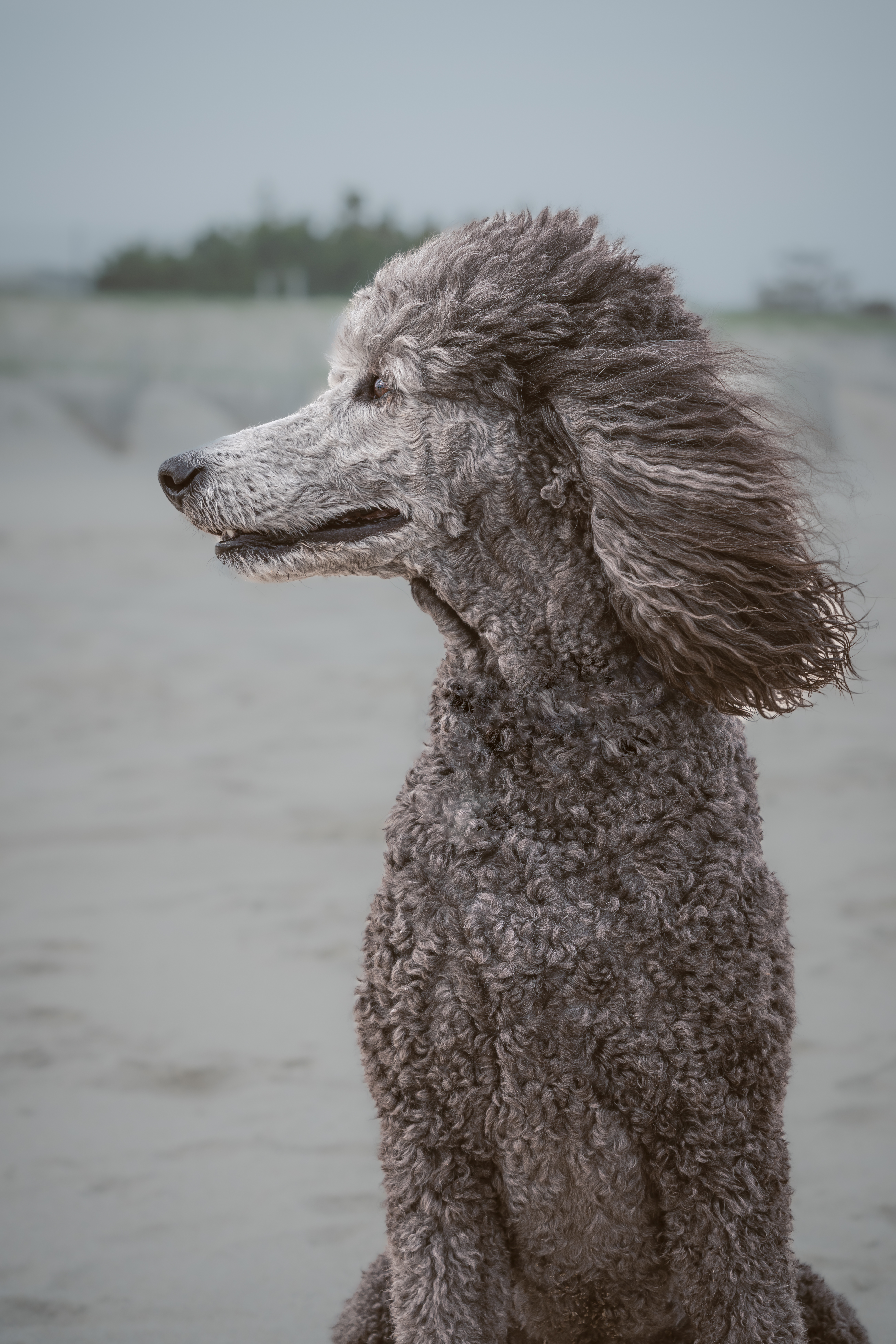 Cobbs_RKI0890-Edit.jpg