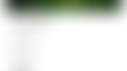 There Is No Absolute