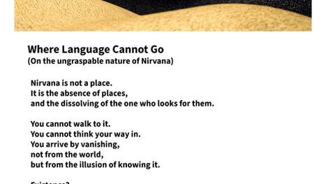 Where Language Cannot Go