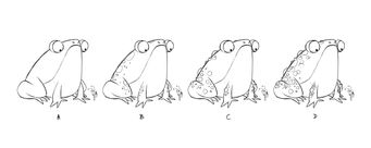 Character design for a toad, for a picture book pitch by Fanny Berthiaume.