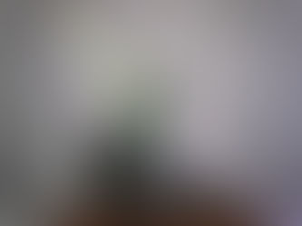 WF2017wお疲れさまでした。