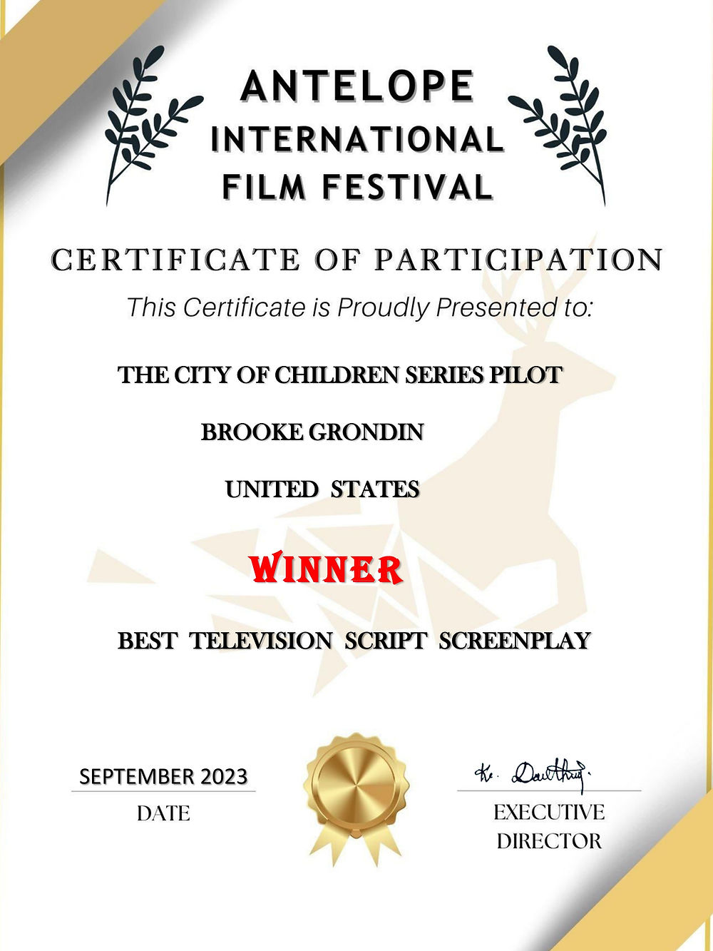 Antelope Film Festival writing award for Best TV Script Screenplay.