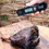 Thumbnail: ProQ DIGITAL PROBE THERMOMETER INSTANT READ