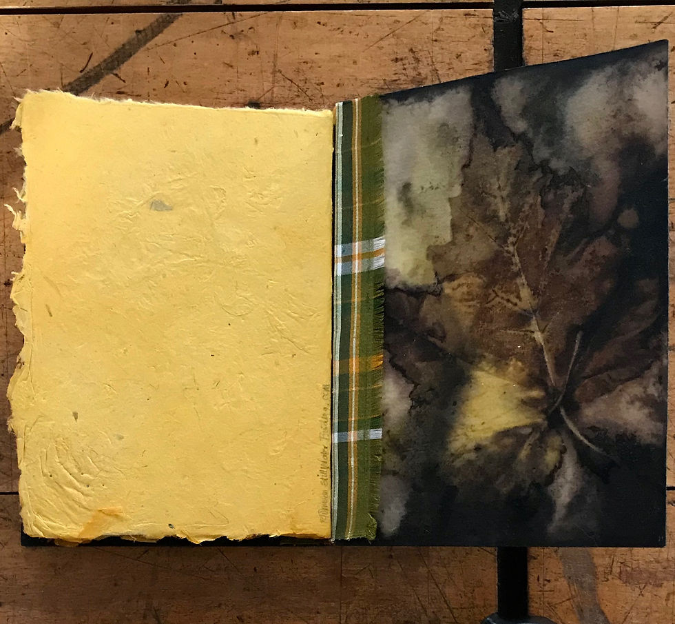 Still Water Bindery Eco Print Book 3