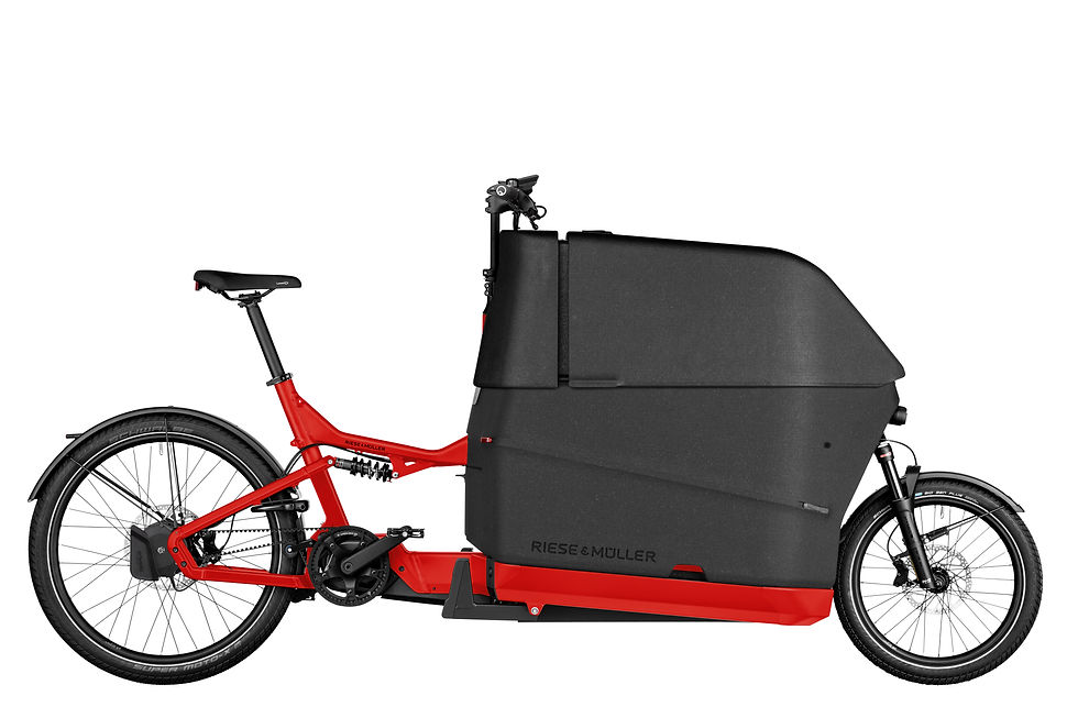 Thumbnail: Riese & Müller Packster2 70 CT