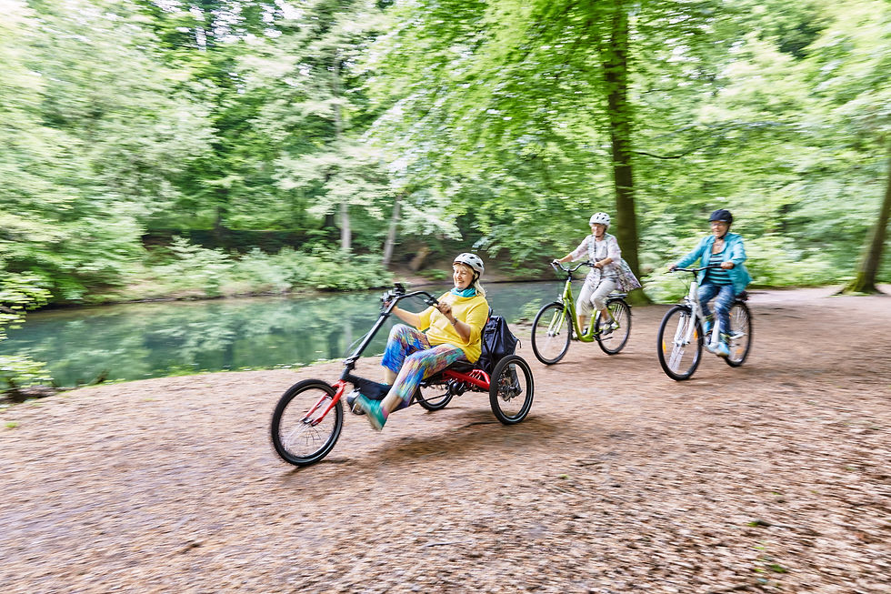 Thumbnail: Hase Bikes Trigo