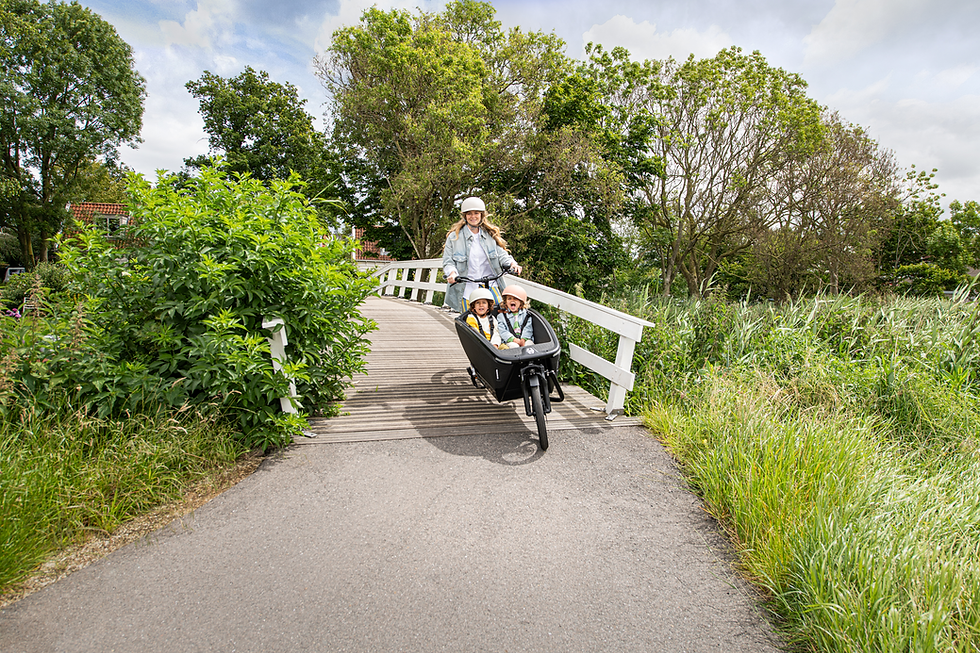 Thumbnail: Mama met kinderen in een Urban Arrow Family Next-bakfiets.