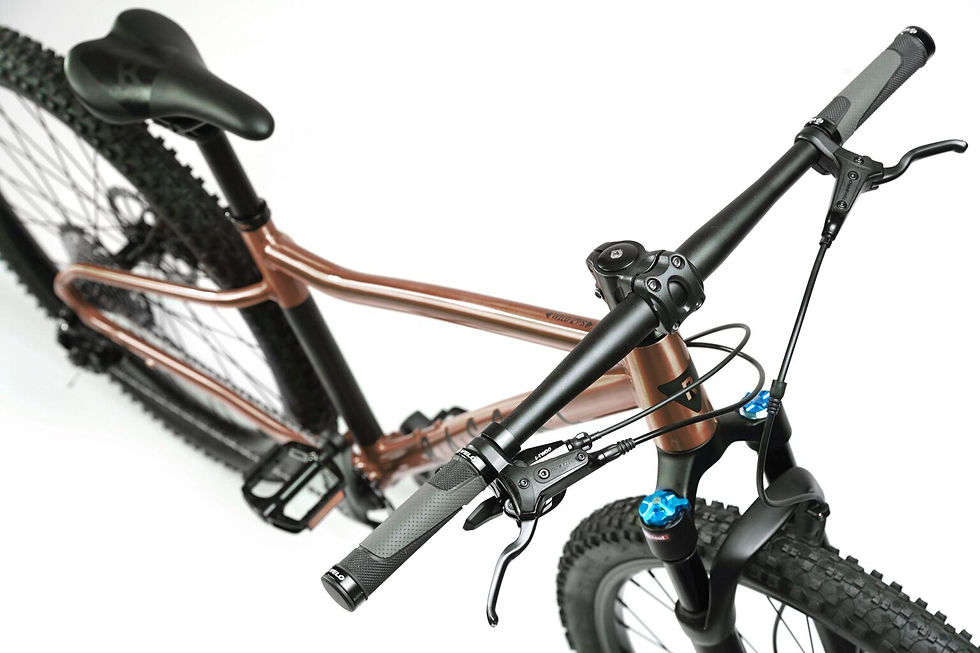 Thumbnail: Rascal Bikes Wild 29