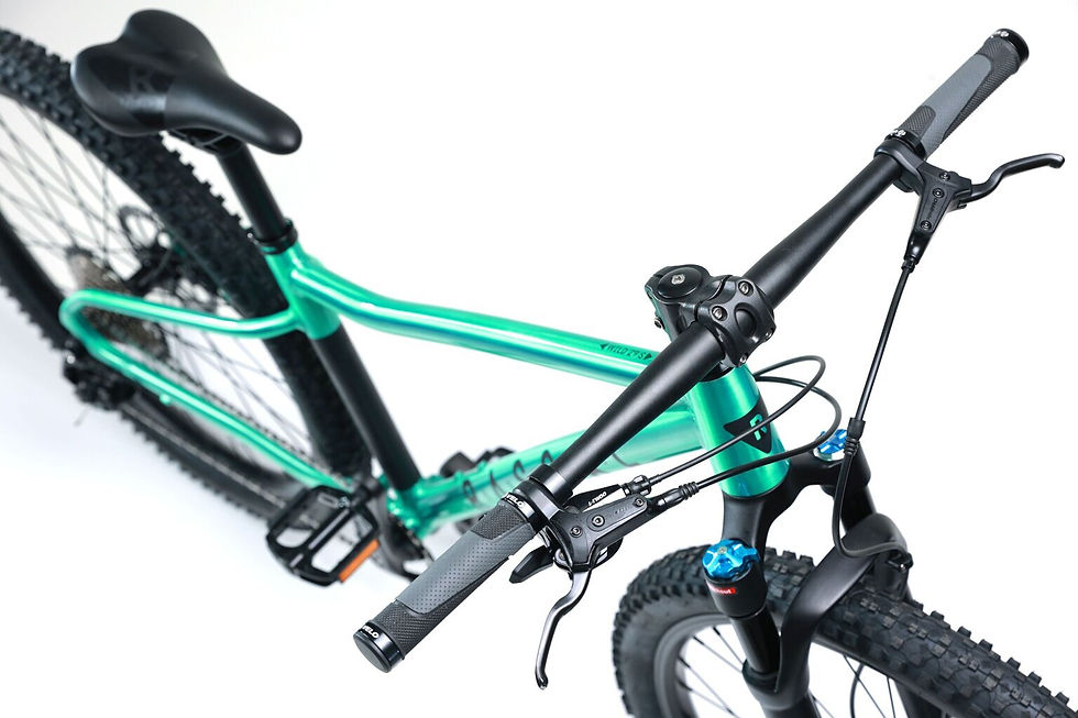 Thumbnail: Rascal Bikes Wild 29