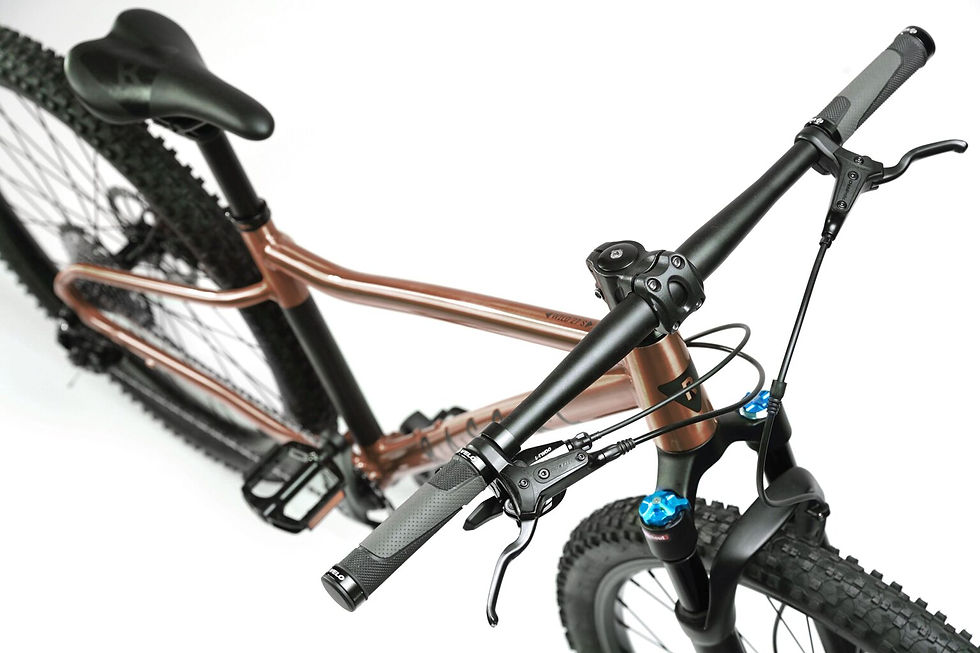 Thumbnail: Rascal Bikes Wild 27