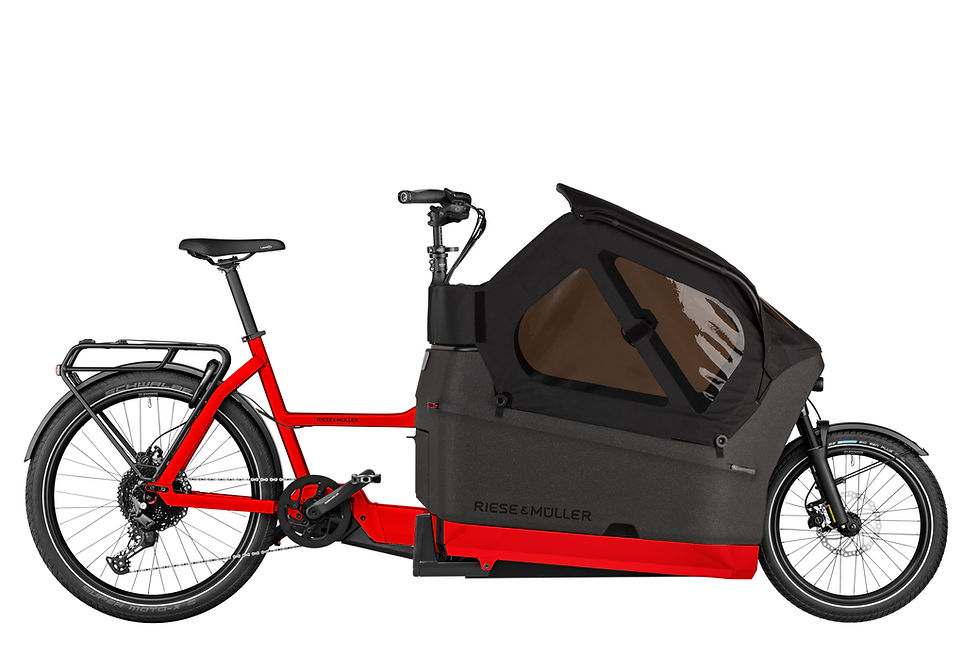 Thumbnail: Riese & Müller Packster2 70 CT