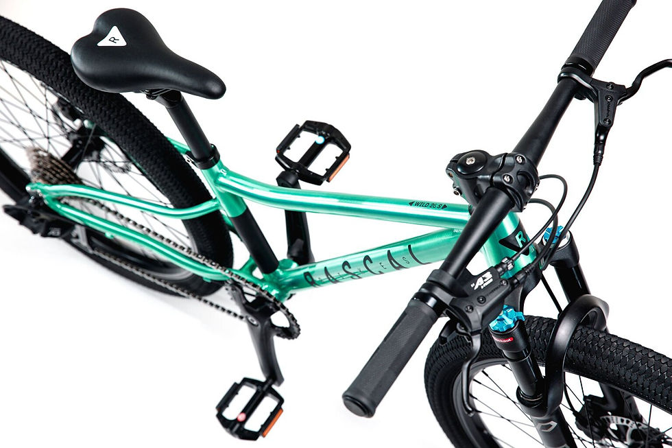 Thumbnail: Rascal Bikes Wild 26