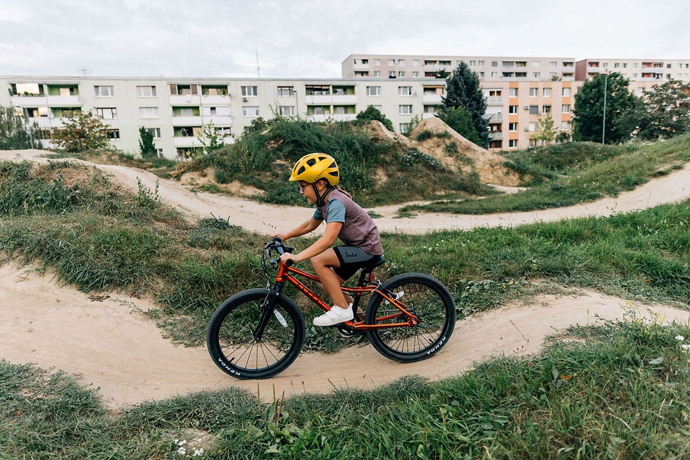 Thumbnail: Rascal Bikes 20
