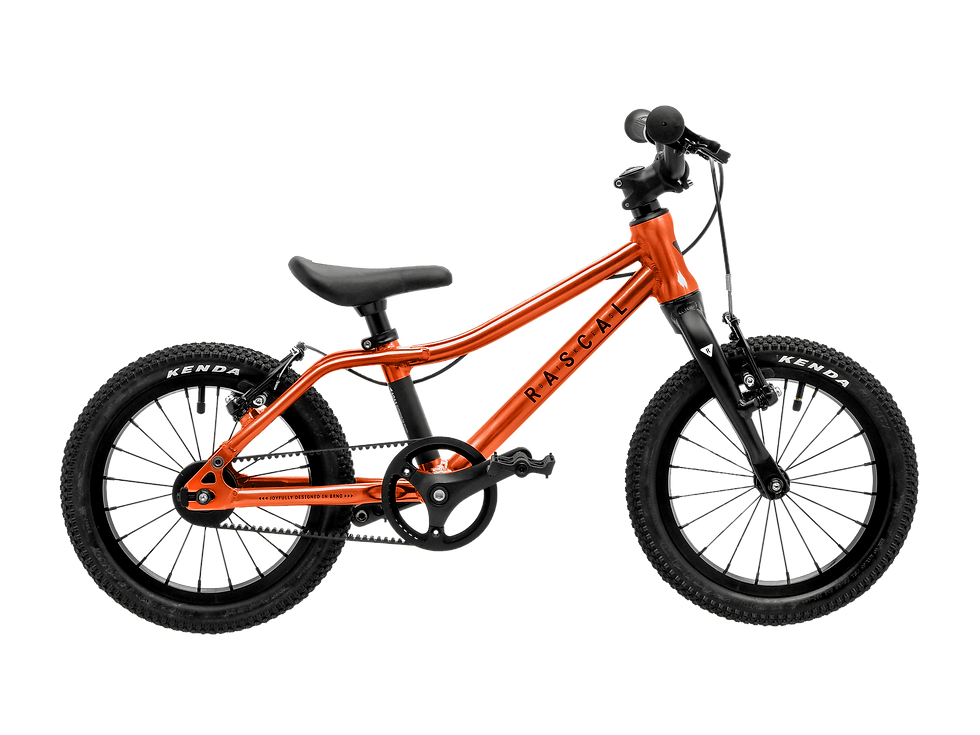 Thumbnail: Rascal Bikes 14