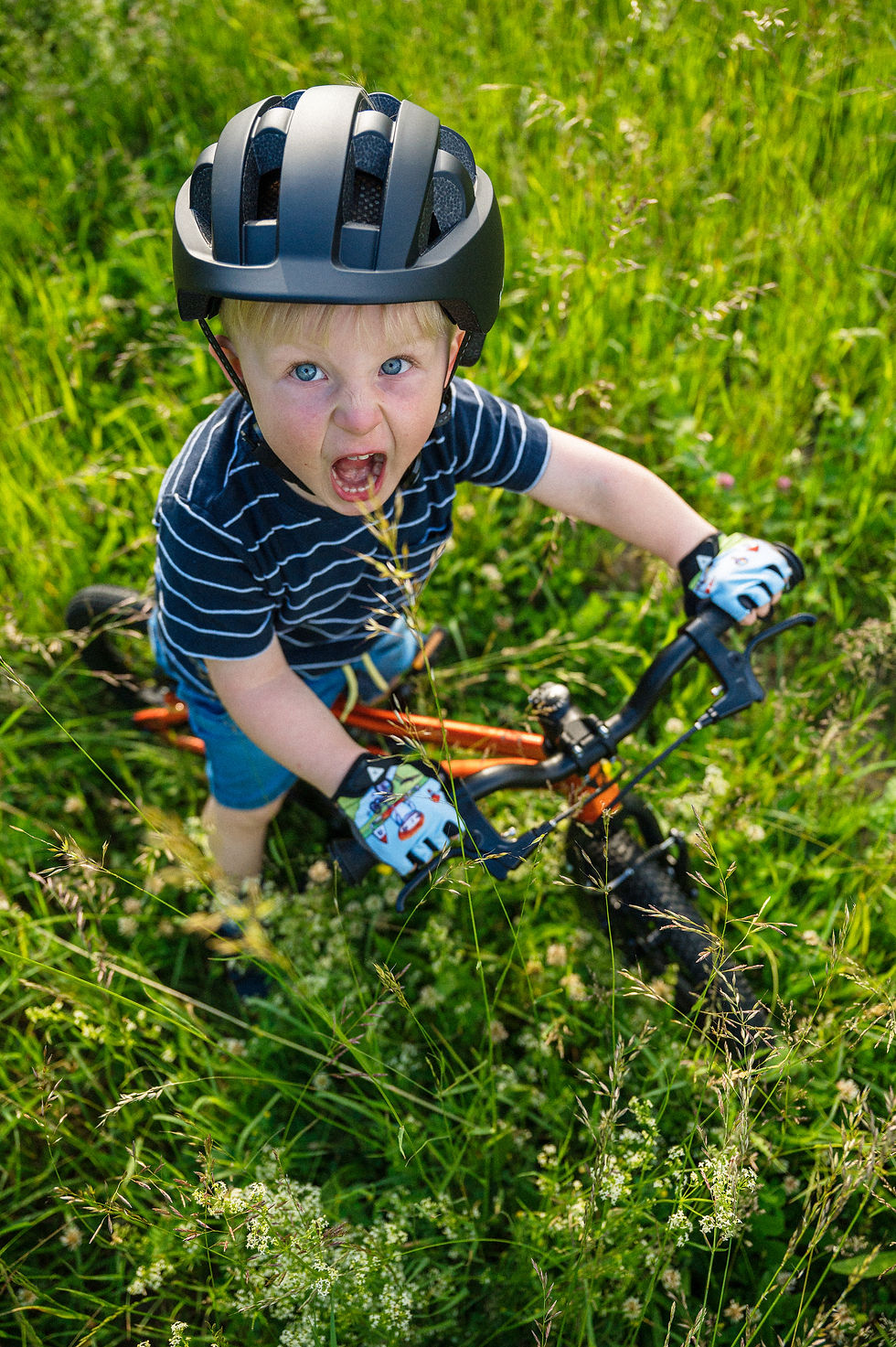 Thumbnail: Rascal Bikes 14