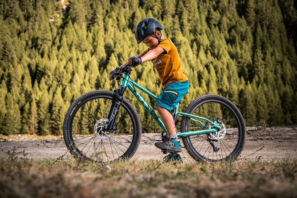 Thumbnail: Rascal Bikes Wild 26