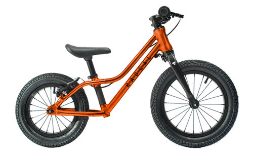Rascal Bikes Punk! | Het Fietslab