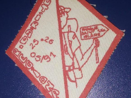 MUTIRÃO REGIONAL PIONEIRO RS