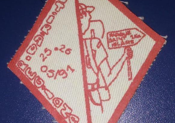 MUTIRÃO REGIONAL PIONEIRO RS