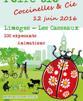 Lettres D Information Ambiance Bois Ambiance Bois