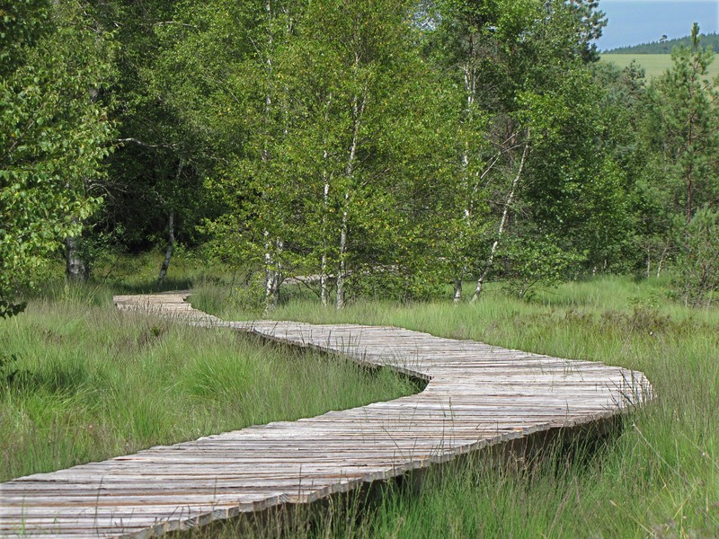 Chemin découverte espaces naturels