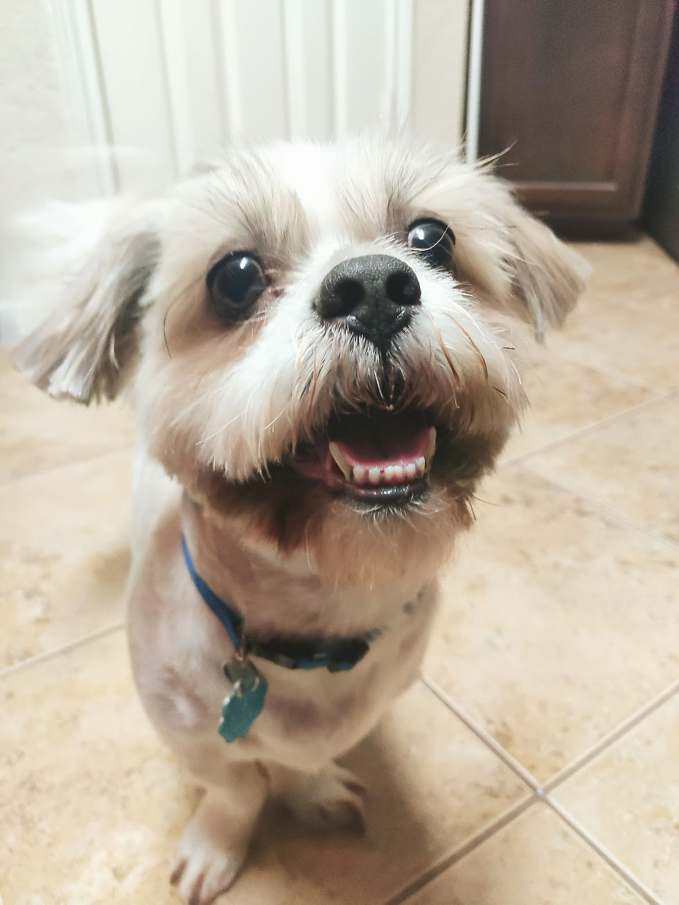 Max