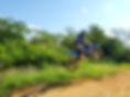 LINE_ALBUM_HP写真_230519_54.jpg