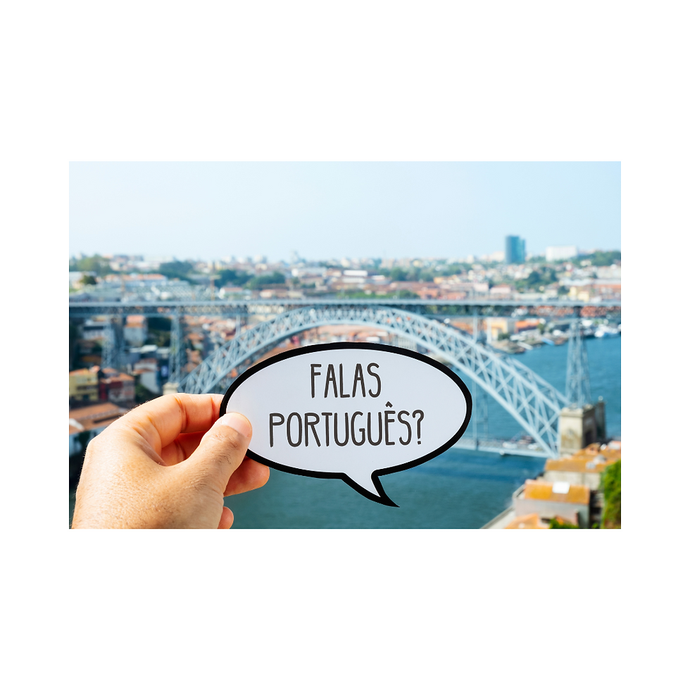 Portuguese Group Conversation